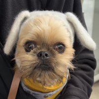 このセクションのDORY写真